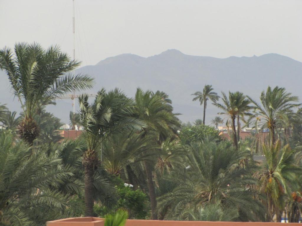 Riad Losra Marrakesh Bagian luar foto